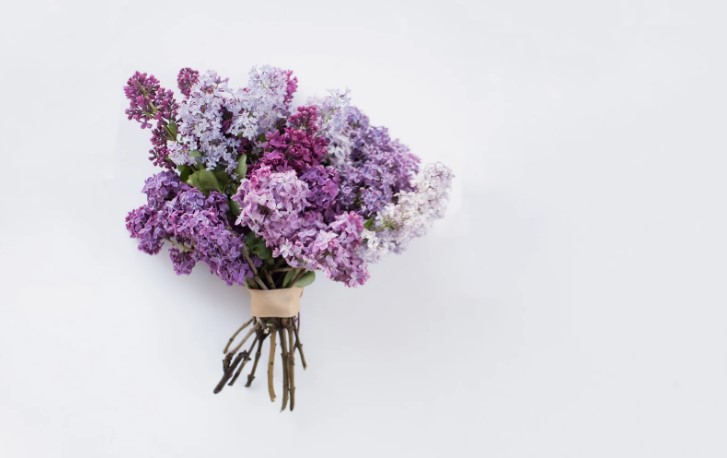 Meaning and types of purple flowers
